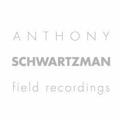 Small Waves Big Moon