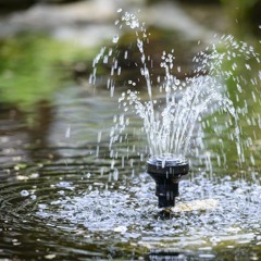 The Fountain / Der Springbrunnen - Sandra Labsch
