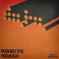 Pushed The Feelings (Cup  & String Mix) FREE WAV DOWNLOAD