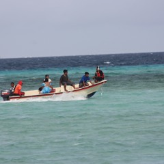 Bein Li-Bao: Laura Settler