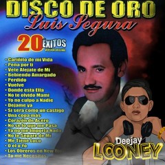 Luis Segura - Disco De Oro Mix - Dj Looney - @djlooneynyc