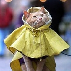 Rainy Summer Podcast