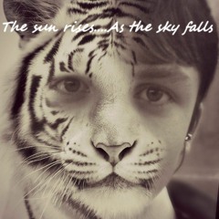 Carly Rae Jepsen - I Really Like You (Broiler Remix)