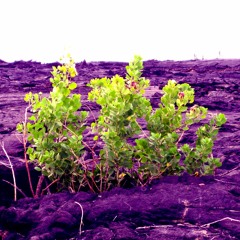 I Ain't Gonna Waste No More Time