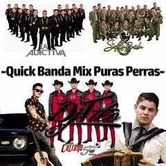 -Quick Banda Mix Pura Perra- Estilo Dj Tito (2016)