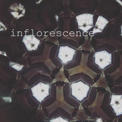Inflorescence