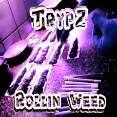TrypZ - Rollin Weed