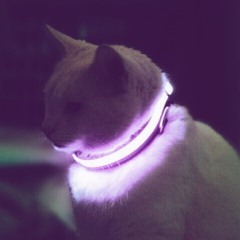 Mirror For Maru (remix of mirror maru)