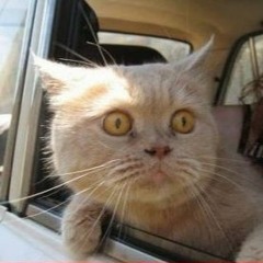 2015 - 07 - DJ SEES -BIG BOSS TIME LIVE SET