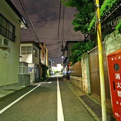 Tokyo Twilight Pt.2