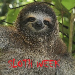 Sloth week episodes 1 to 3