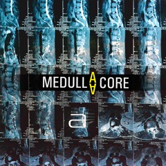 Booster (Sasha Medvedev remix)