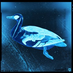 COMMAND Q - Duck Flute [Wᴇ Aʀᴇ Aɴɪᴍᴀʟs EP] FREE DOWNLOAD