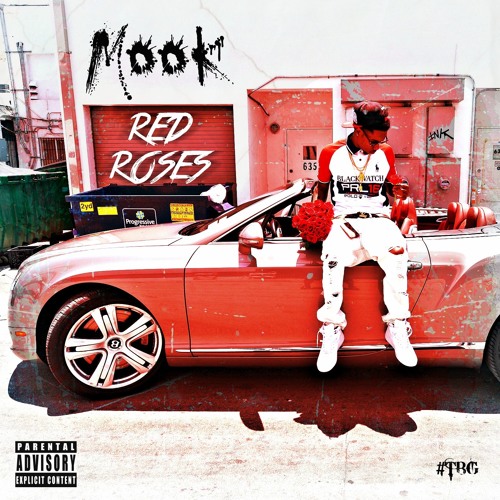 Mook - What They Gone Do (Audio) Prod By Speaker Knockerz "Red Roses"