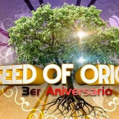 Jeffstep - Surround Seed Of Origin 3th Anniversary
