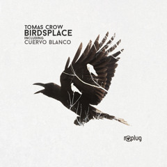 Tomas Crow - Birdsplace (Original Mix) [Replug]