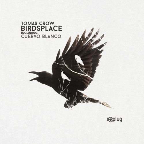 Tomas Crow - Birdsplace (Original Mix) [Replug]