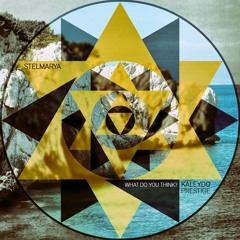 KLP012 - Stelmarya - What Do You Think? (Original Mix)