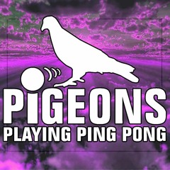 Stuck in the Jam Showcase - Pigeons Playing Ping Pong - 89.7 WTMD - 7/3/16