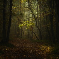 Edvard Grieg  - Anitras Dance - from Peer Gynt