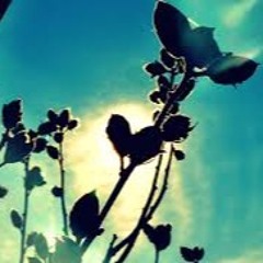 Late Nights and Early Mornings [prod by. 301 Coleman]