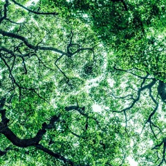 Innocence（イノセンス） (with VoiceCredits)