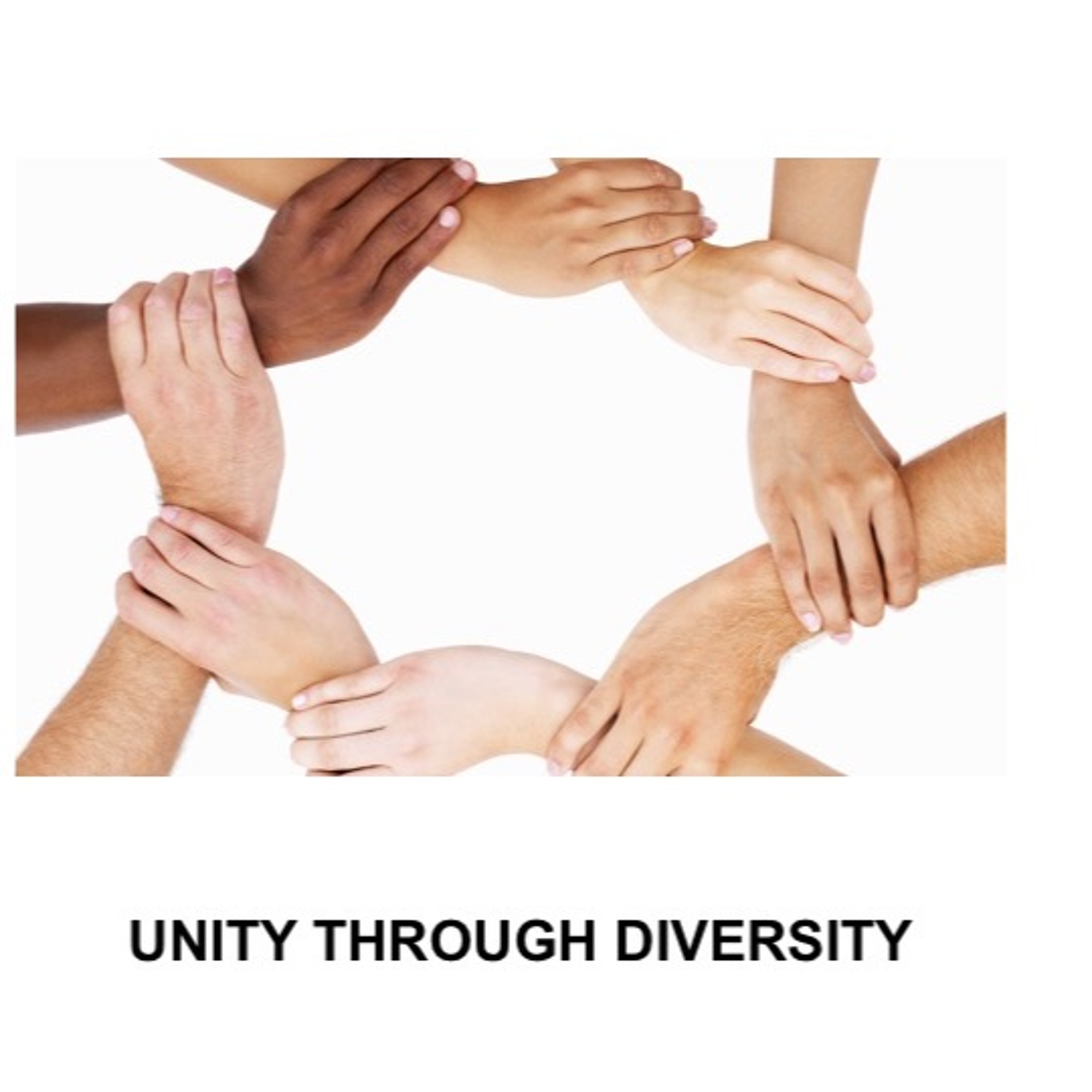 Unity Through Diversity episode artwork
