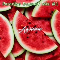 Agrume - Paradise Summer Mix #1