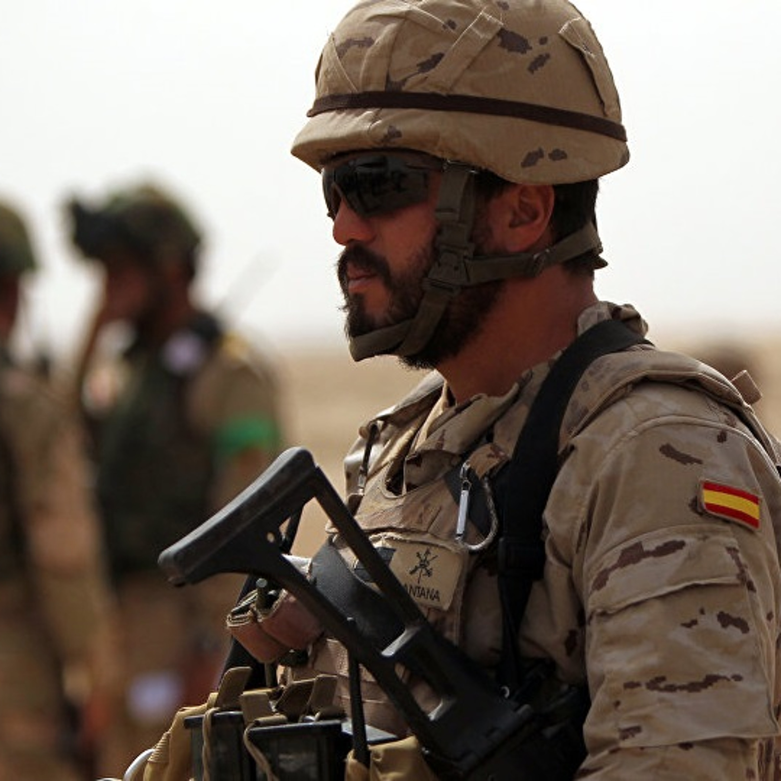 ECFR en Español
