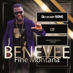 NEW HIT BENE VEE (FINE MONTANA)