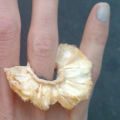 Cheek To Cheek * MaquetteMaison * CoverJaZzz