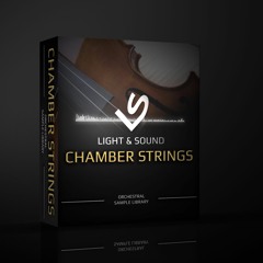 Light and Sound Chamber Strings Demo: Without A Name - Paul Stapley