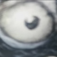 BlaDesa vs. LZA | VBT Elite 16tel RR