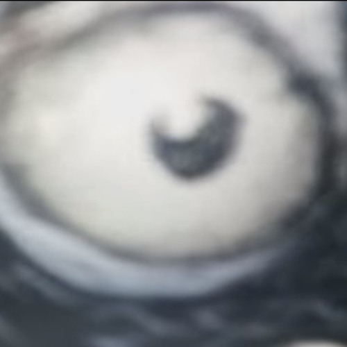 BlaDesa vs. LZA | VBT Elite 16tel RR