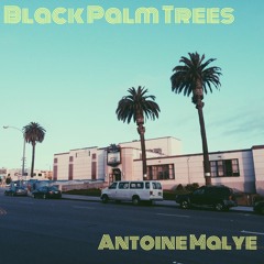 Black Palm Trees (feat. Mathieu Corbiere & Nalla Sauer)