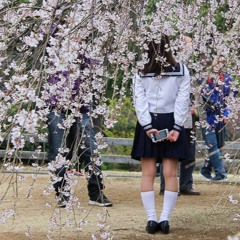 Sakura Tree Memories (Feat. Tsubasa) [Melodic Prog House]