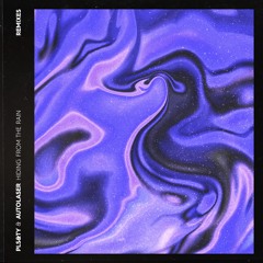 Hiding From The Rain (The Remixes)