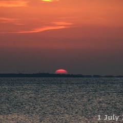 D.Dankov - Matt World #46