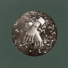 aspidistrafly - Countless White Moons (Badmixday Remix)