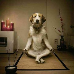 Ann Arbor Korean Church Performance