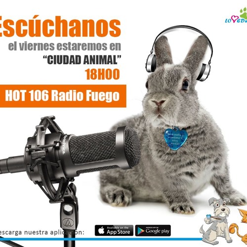 Stream Entrevista Loved Mascot Ciudad Animal en Hot 106 Radio Fuego by  Domino IT | Listen online for free on SoundCloud