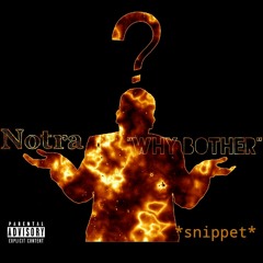 Why Bother (snippet)