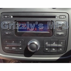 My own car MP3 collection