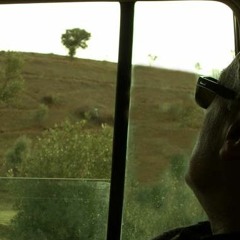 به یاد عباس کیارستمی؛ گرگی در کمین