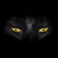 Paul Rey - Dicotomia