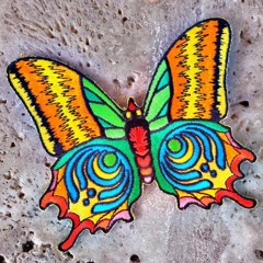 Bassnectar   Butterfly