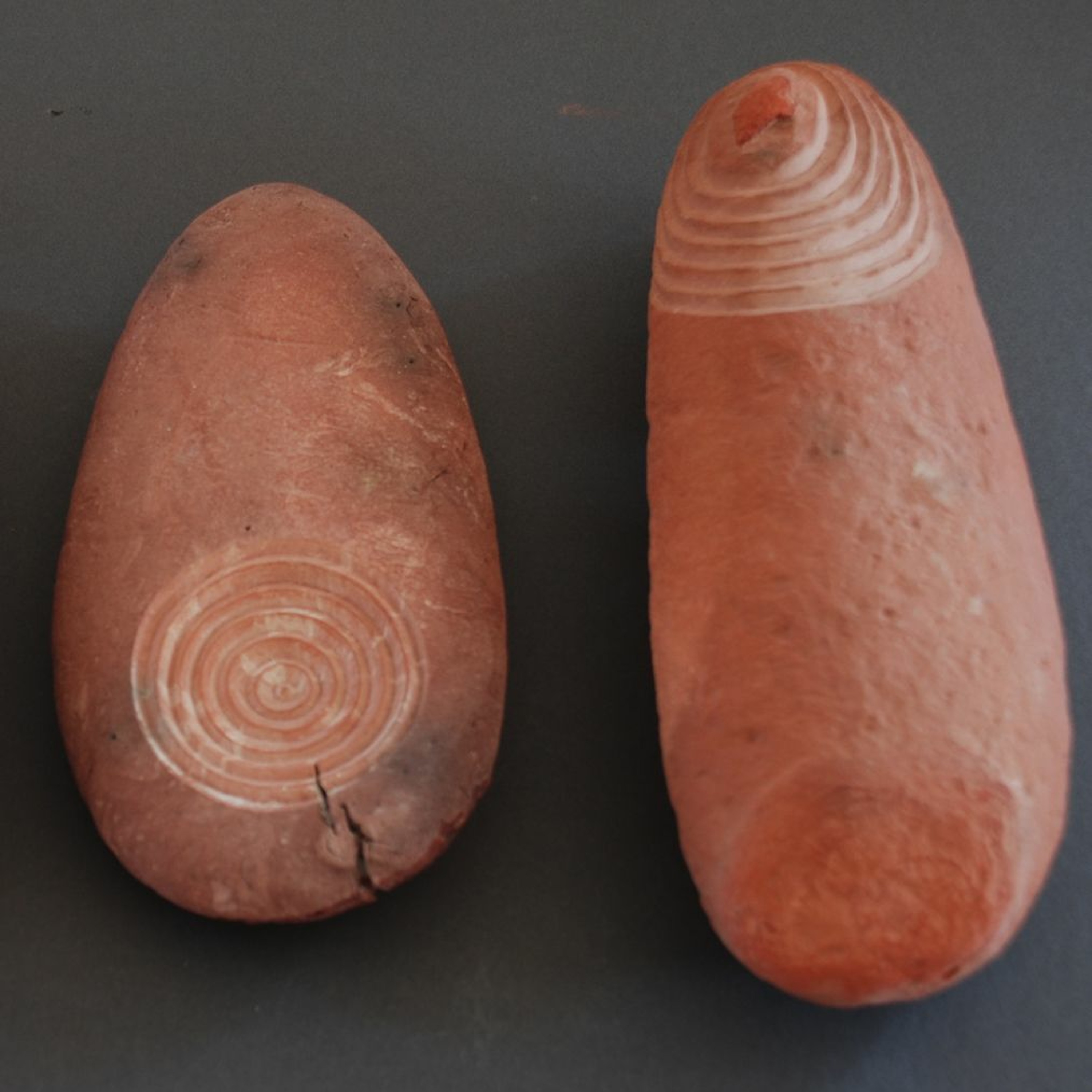 Seed Story Broadcasts