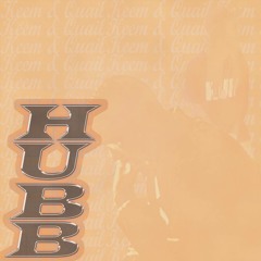 Hubb Takeover