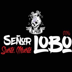 11 - No Hay Futuro- SEÑOR LOBO 2016