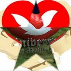 Derrotado jamais - musicas da universal